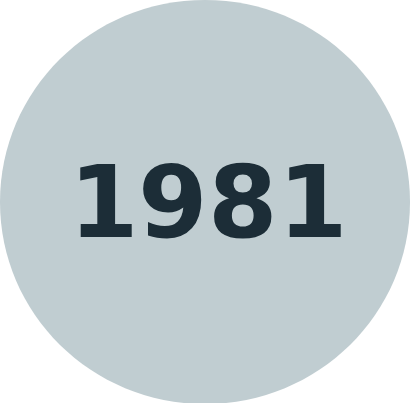 1981 1